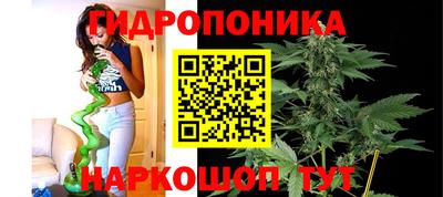 дурь Можга