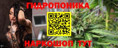 дурь Можга