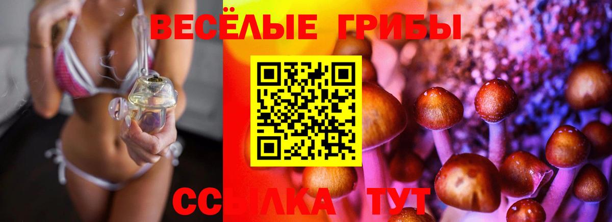 Псилоцибиновые грибы MAGIC MUSHROOMS Черкесск
